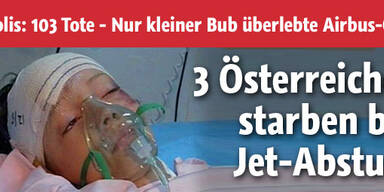 2 Österreicher starben bei Jet-Absturz