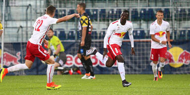 Liefering LASK