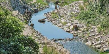 Renaturierter Liesingbach ist ein Juwel in der Stadt. 