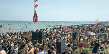ligi.png