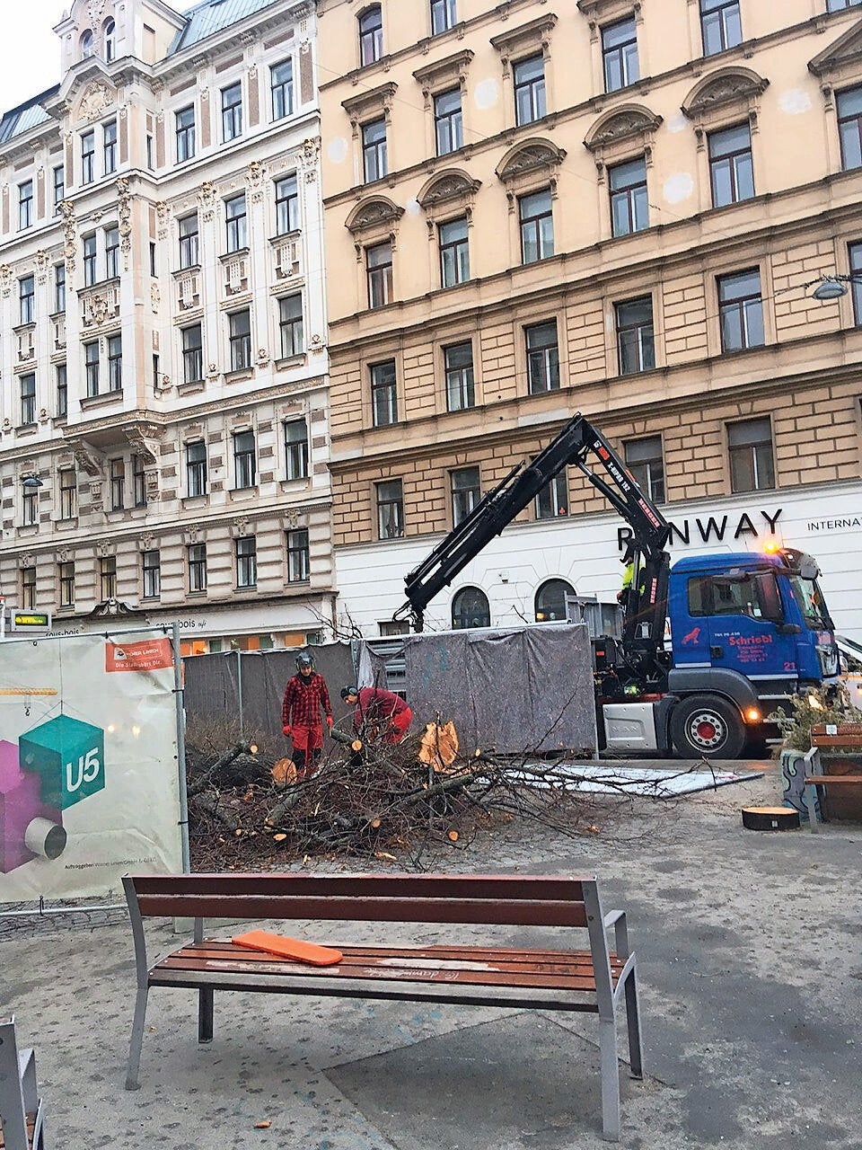 Schubertlinde ist Geschichte