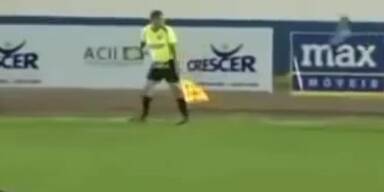 Linienrichter wird von Vogel attackiert