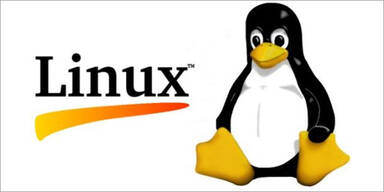 7.800 Freiwillige entwickeln Linux