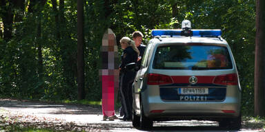 16-Jähriger soll Serien-Sextäter sein