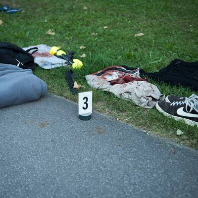 15-Jähriger in Linz niedergestochen