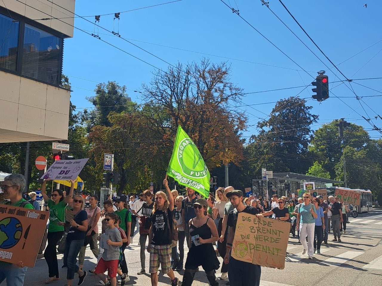 Demo in Linz