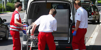 Brüder stürzten aus Fenster