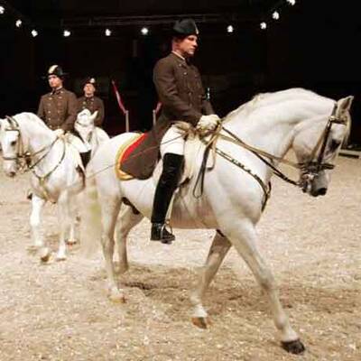 Spanische Hofreitschule unter neuer Führung