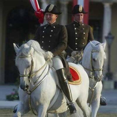 Spanische Hofreitschule unter neuer Führung