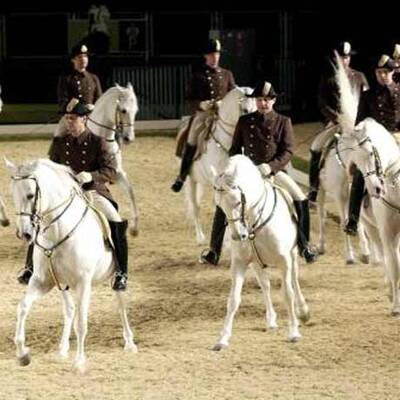 Spanische Hofreitschule unter neuer Führung