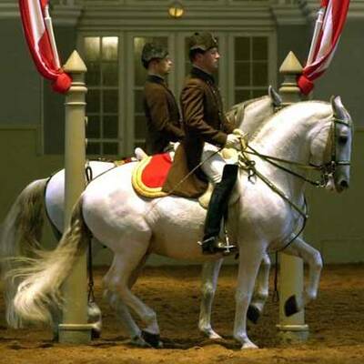 Spanische Hofreitschule unter neuer Führung