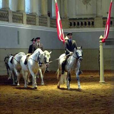 Spanische Hofreitschule unter neuer Führung