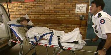 Julia flieht vor 40.000 Kakerlaken