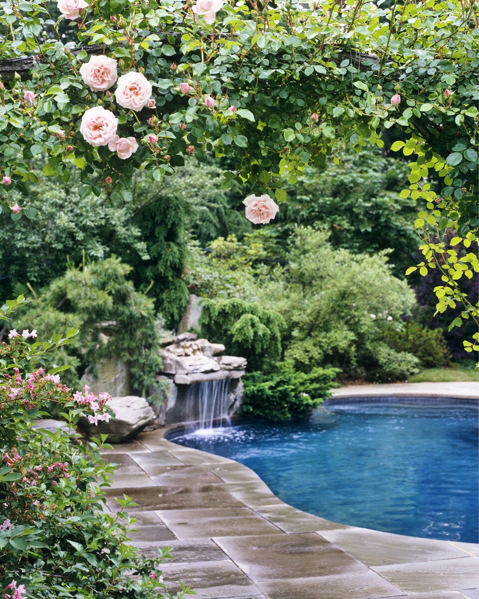 Biotop mit Wasserfall selbst bauen: So gelingts!