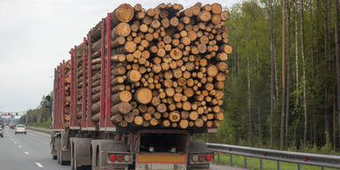 Lkw-Anhänger mit Holz