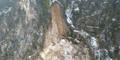 Felssturz beim Loiblpass