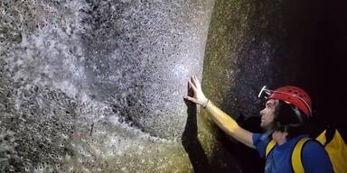 Gr&ouml;&szlig;tes Monster-Spinnennetz der Welt entdeckt