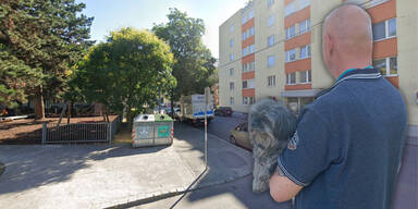 Lorystraße Jugendbande