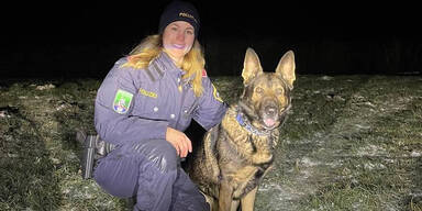 Polizeihund "Puck" st&ouml;berte Einbrecher auf