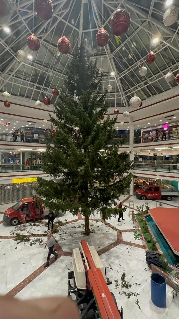 Lugner sägt am Gudenus-Stamm