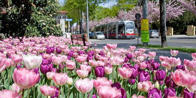 Wiener Luftqualit&auml;t auf Platz 3