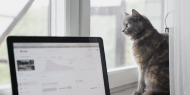 lug trug videos 2.PNG