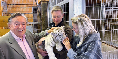Zuwachs f&uuml;r Lugners Streichelzoo