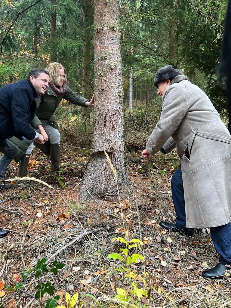 Lugner sägt am Gudenus-Stamm