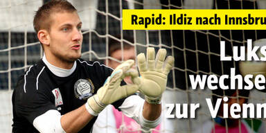 Lukse heuert bei Vienna an