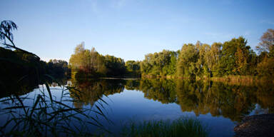 Mann ertrinkt beim Baden im Alten Rhein