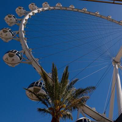 Las Vegas High Roller