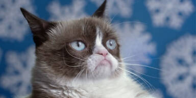 Grumpy Cat's Worst Christmas Ever