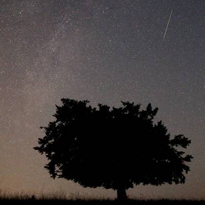 Sternschnuppen-Regen über Europa