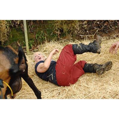 Tag 7 im Dschungelcamp