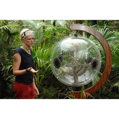 Tag 8 im Dschungelcamp