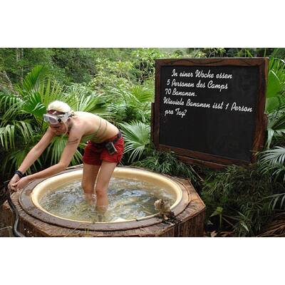 Tag 8 im Dschungelcamp