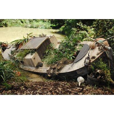 Tag 11 im Dschungelcamp