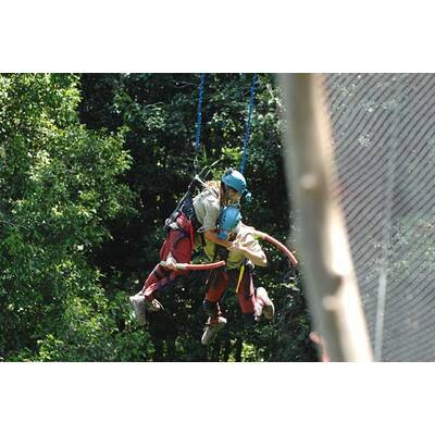 Tag 12 im Dschungelcamp