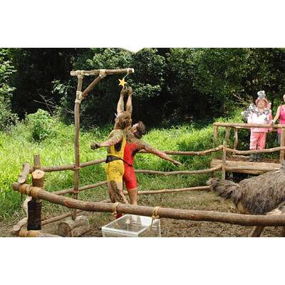 Tag 13 im Dschungelcamp