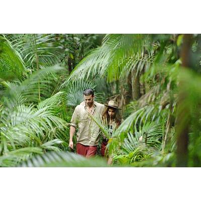 Tag 15 im Dschungelcamp