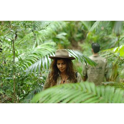 Tag 15 im Dschungelcamp