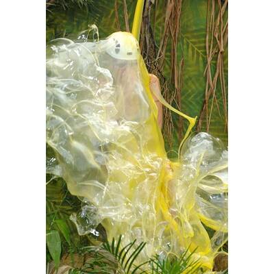 Tag 15 im Dschungelcamp