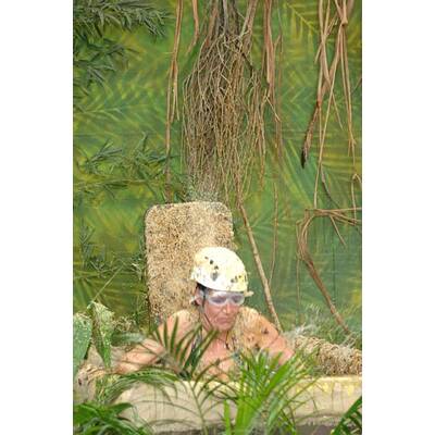 Tag 15 im Dschungelcamp