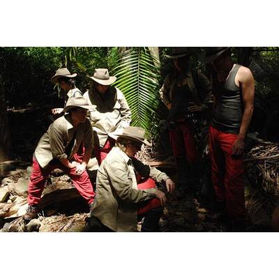 Tag 1 im Dschungelcamp