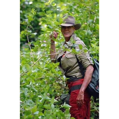 Tag 1 im Dschungelcamp