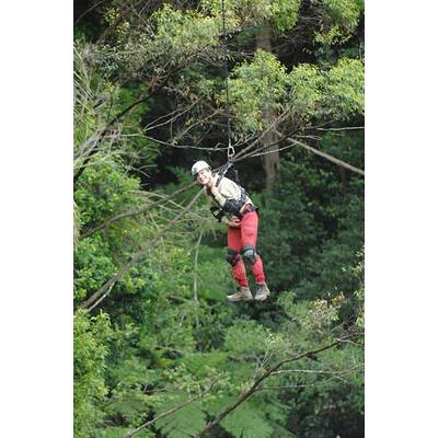 Tag 11 im Dschungelcamp