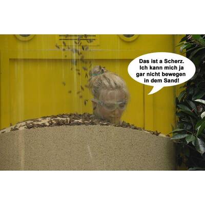 Larissa Marolt im Dschungelcamp