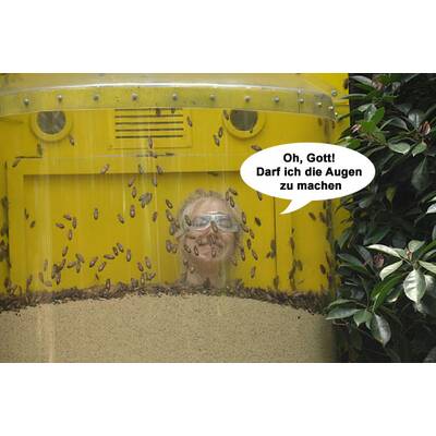 Larissa Marolt im Dschungelcamp