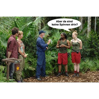 Larissa Marolt im Dschungelcamp