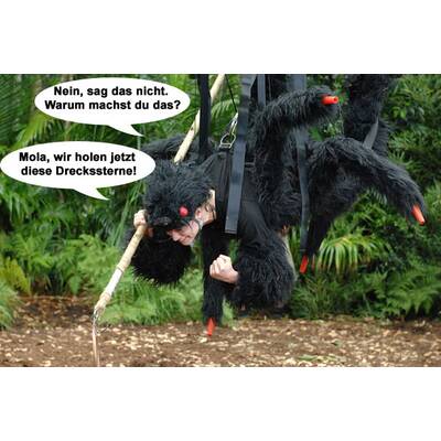 Larissa Marolt im Dschungelcamp